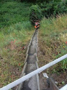 WhatsApp Image 2026 04 14 At 18.07.14 225x300