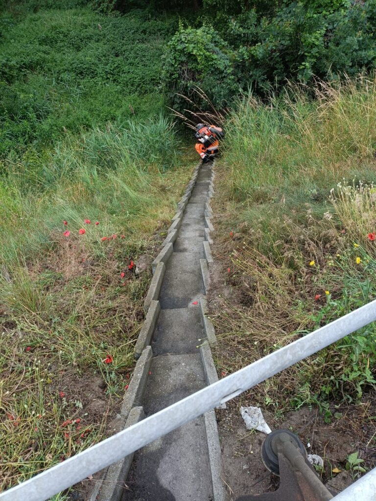 WhatsApp Image 2026 04 14 At 18.07.14 768x1024