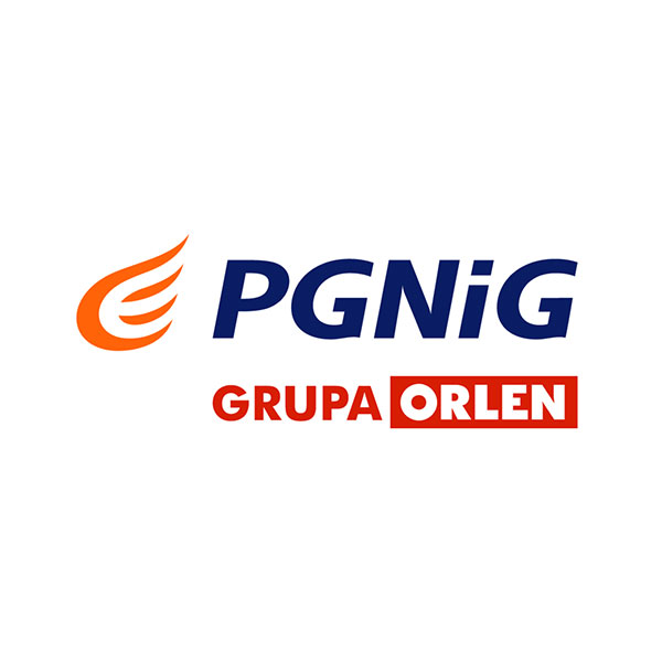 logo pgnig